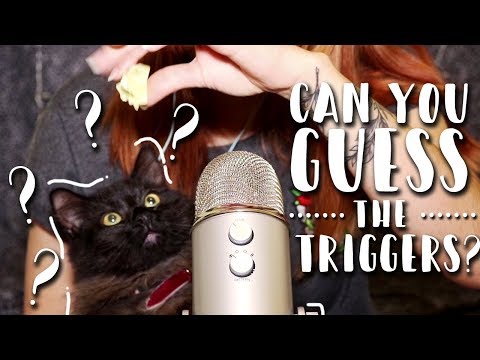 GUESS THE TRIGGERS! + SPECIAL GUEST PURRING AND SMELLING YOU