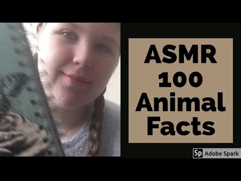 ASMR - 100 Animal Facts