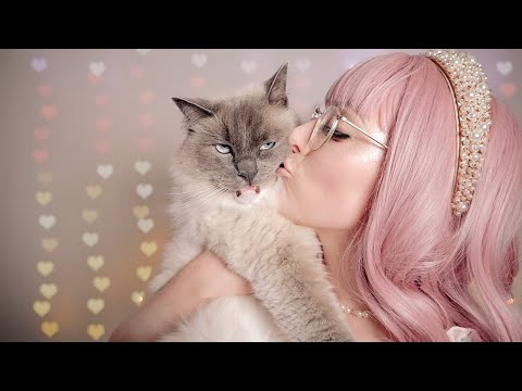 [Not-Really-ASMR] Sir George the Sassy Queen Ragdoll