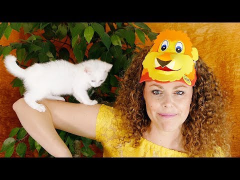 Trip to The Zoo! ASMR Role Play w/ Baby Snow Leopard Kitten Soft Spoken Animal Facts
