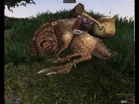 ASMR: TES III Morrowind - Doing some Quest