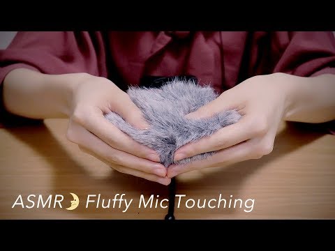 [ASMR] Fluffy Mic Touching (Windscreen) Ear Cleaning, Brushing [No Talking] DR-40