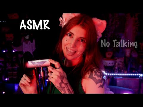 ASMR | No Talking, Licks & Tappies only~