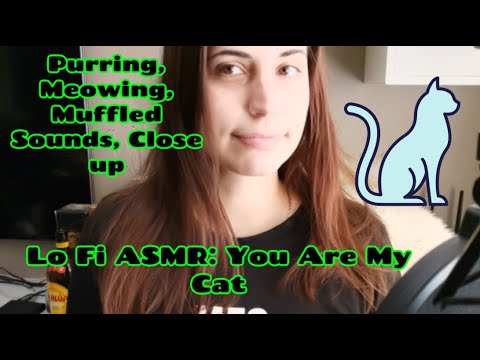 LoFi AMSR: You Are My Cat: Purring Sounds, Meows, Muffled Sounds, Close Up, Face Touching, Whisper 🐱