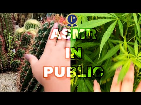 ASMR in public (variety of sounds, vusual triggers) ASMR at the park