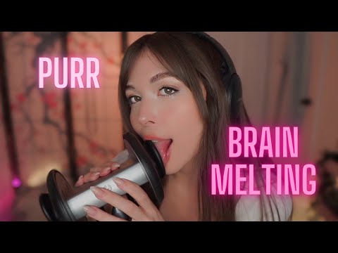 Deep Intense Ear Licking and Purring ASMR JUST FOR YOU