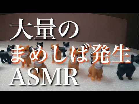【ASMR】炭酸泡の入浴剤/まめしば/バスボム/炭酸の音sounds/bath bomb/bath salt/音フェチ
