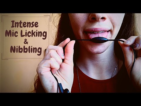 Lo-Fi ASMR | Intense microphone licking | Nibbling | Kisses | Mouth Sounds | Up close