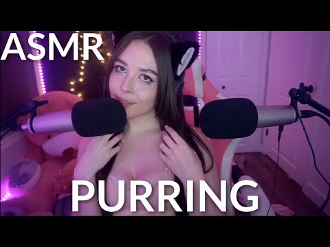 ASMR Amazing Purring To Help You Relax (1 hour)