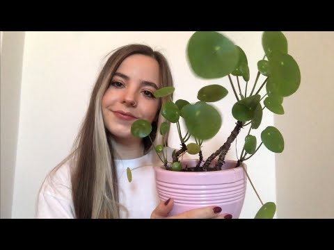 *ASMR* Gentle Plant Tapping for Tingles