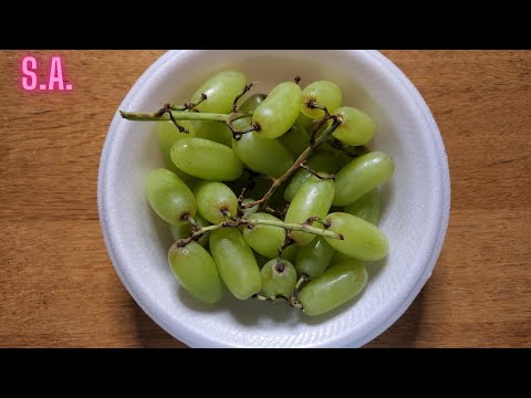 Asmr || Monching on Seedless Green Grapes (NO TALKING)