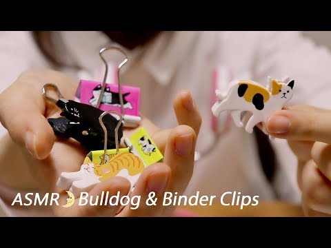 [Japanese ASMR] Bulldog & Binder Clips / Whispering / LifeLike 3D