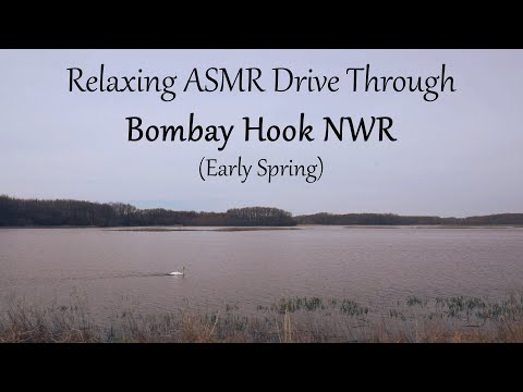 Relaxing ASMR Drive Through Bombay Hook National Wildlife Reserve (Early Spring) (Binaural)
