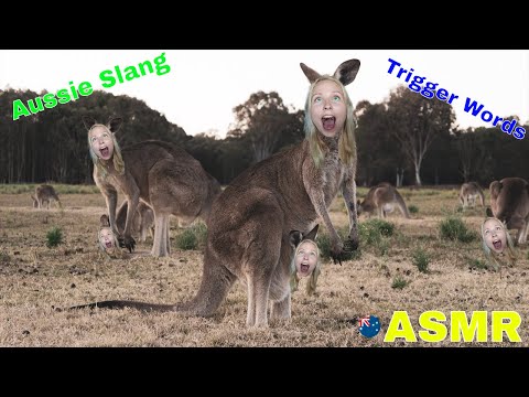 Australian Slang Trigger Words ASMR | Ozzy Slang Whispering ASMR | ASMR Network