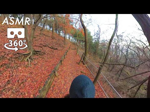 A Walk on Dad's Shoulders ‍👨‍👧‍👦 ASMR 360 VR 🍂 Autumn Edition