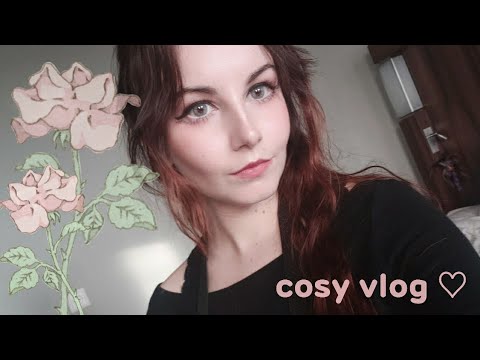 [cosy vlog] ♡ ep.1: leaving california, arriving in amsterdam