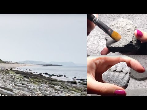 ASMR Fossil Hunting/ Show and Tell (Whispered)