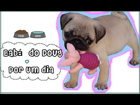Um dia de babá do Doug - ( Pug)