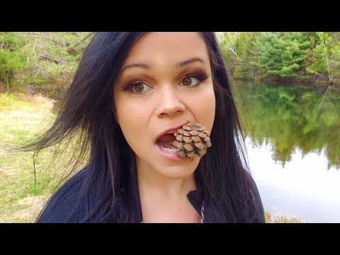 I'm Mad Triggered in Nature ! *Normal Voice ASMR*