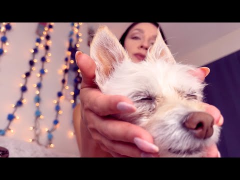 ASMR - You Are My Dog | Pampering You | Personal Attention