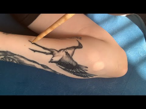 Tattoo ASMR: Black-Necked Tibetan Crane (Tracing + Backstory)