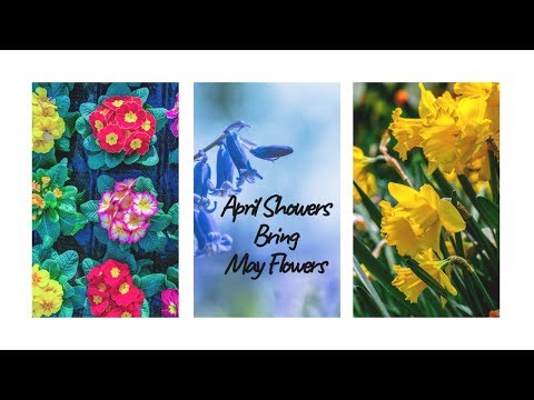 Tingly Flower Trigger Words ASMR