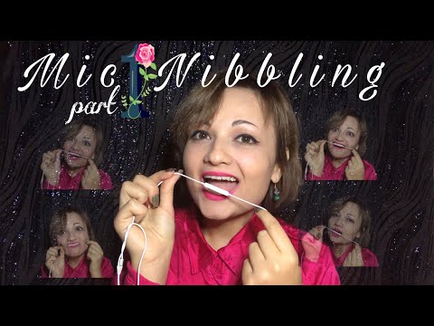 Mic Nibbling | ASMR | INTENSE 🤤 mouth sounds