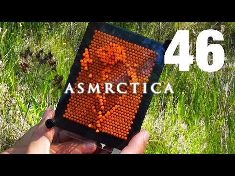 ASMR Outdoors | 3D Imprints of the Forest | Rambling + Calming Nature