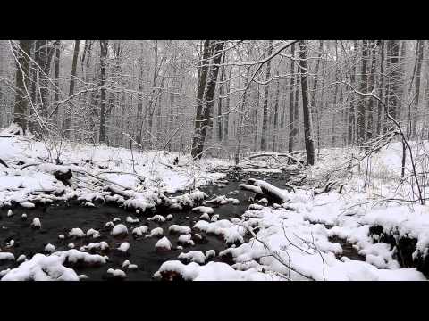 Relaxing Nature Journey & Walkabout #5 (Narrated) - Winter 2012 - Snow Sounds - Pennsylvania Woods