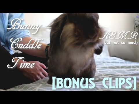 ASMR (kinda?) Bunny Cuddle Time [Bonus Clips]