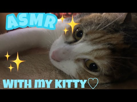 ASMR~ COMBING MY CAT HAIR!! (MOUTHSOUNDS) 🐈🐱 ♡ ♡ ♡