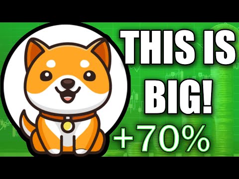 BABY DOGE COIN BIG UPDATE BAD NEWS FOR HOLDERS... (PRICE PREDICTION INVEST NEWS TODAY 2021)