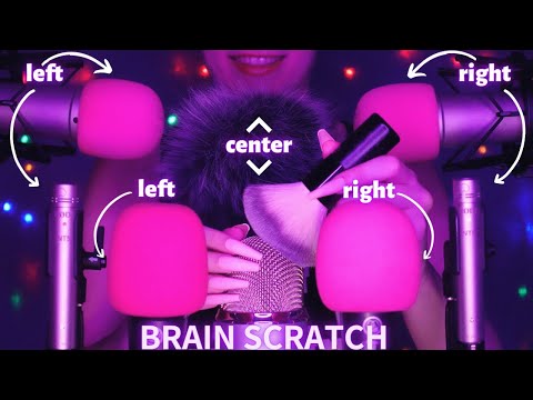 Asmr Mic Scratching - Brain Scratching & Brushing on 8 Mics | Asmr No Talking for Sleep - Long Nails