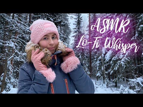 [ASMR] ❄️ Lo-Fi Whisper In The Winter Forest 🌲