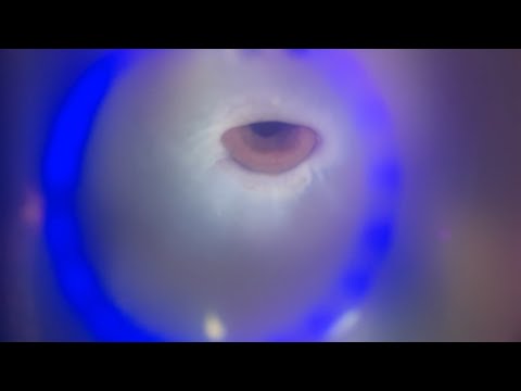ASMR You're inside a bubblegum bubble| cool visuals 😍 (whispers)