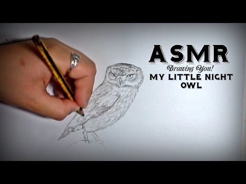 Drawing you! My Little Night Owl- Owl Facts and Close up Whispering