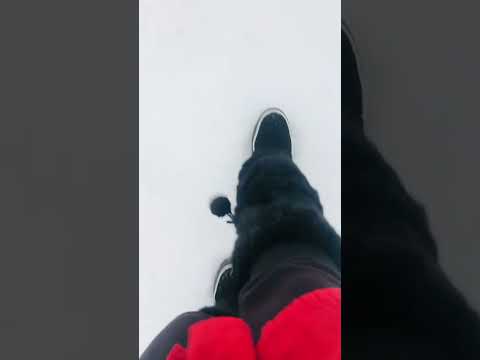 ASMR walking on crunchy snow