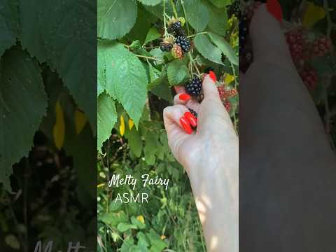 fairies eat berries 🧚‍♀️✨ #asmr #shorts #whispering