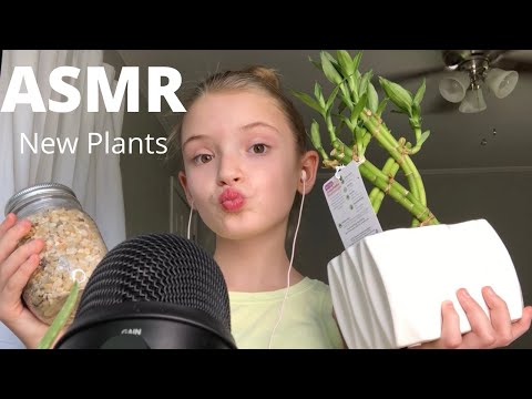 ASMR Meet my new plants + triggers