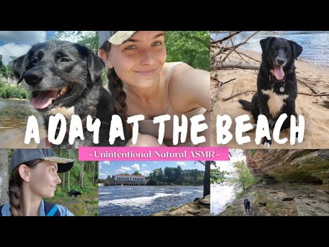 Unintentional ASMR @ The Beach With My Dog {Soft-Spoken} #dogasmr #zelda #beachday