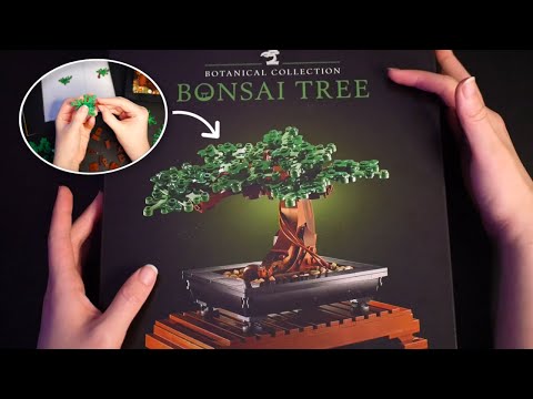 Lego ASMR 🌱 My First Lego Set! 🌸 Building a Bonsai Tree With You 🌱 Binaural Soft Spoken