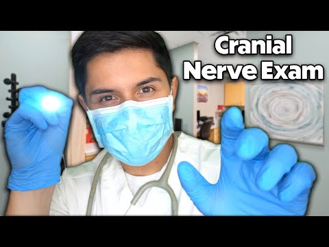 ASMR | Classic Cranial Nerve Examination Role Play