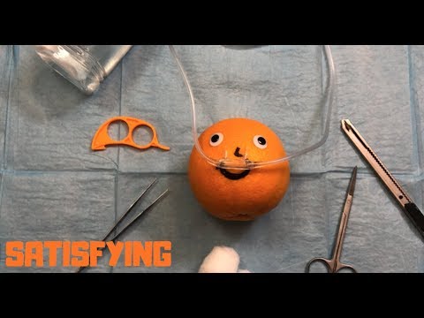[ASMR] Surgery On Orange *satisfying*