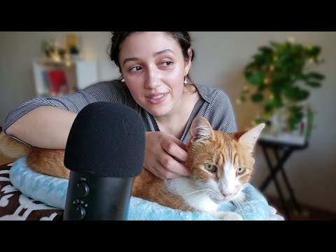 ASMR Cat Pampering 😽 (purring, brushing, soft whispers)