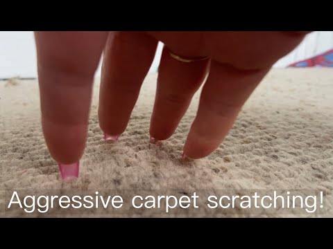 ASMR - Aggressive carpet scratching w/ buildup camera tapping ✨