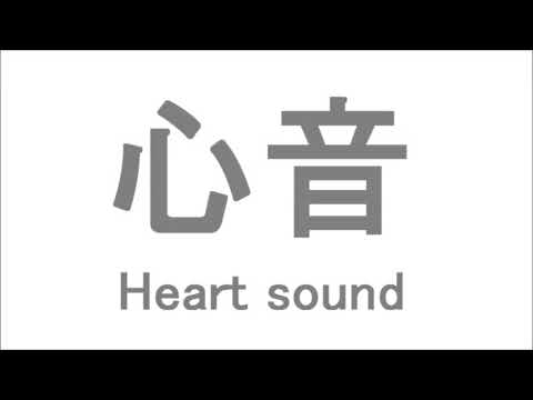 【ASMR】心音。心臓の鼓動。Heart sound【声なし】