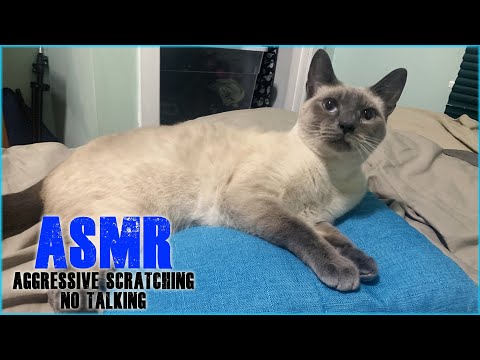 😲✨❤ASMR | FAST and AGGRESSIVE SCRATCHING FLOORS!!!! & SUCH A RANDOM VIDEO!!!!!!!!! NO TALKING ❤✨😲