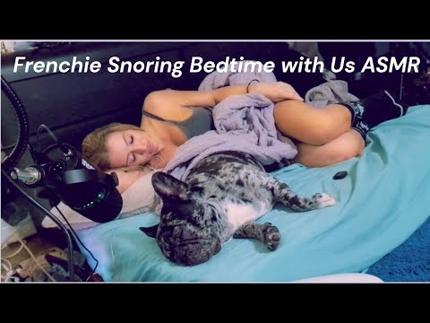 ASMR - Bedtime with Us Frenchie Snoring