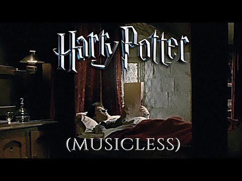 Snowy Night at Gryffindor [Musicless]◈ Harry Potter inspired Ambience / Fireplace + Muffled Wind