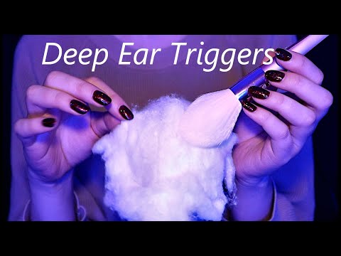 ASMR Ear Tingling Deep Ear Attention Triggers (No Talking)